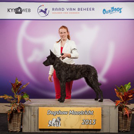 show-saki-dogshow-maastricht.jpg